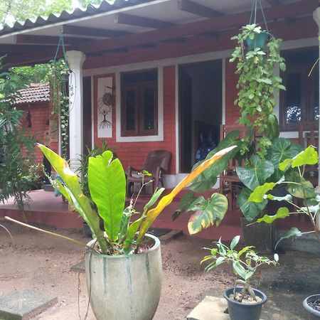 Angry Birds Homestay Habarana Ruang foto