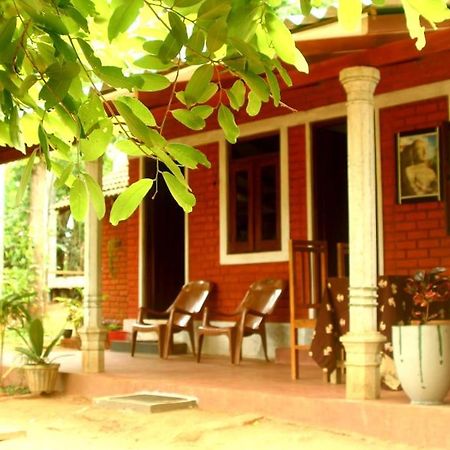 Angry Birds Homestay Habarana Bagian luar foto