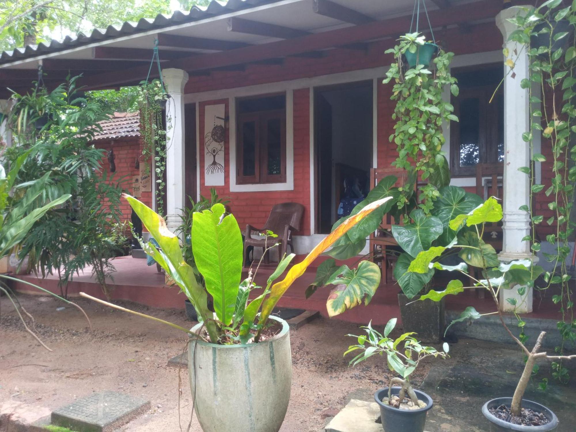 Angry Birds Homestay Habarana Ruang foto