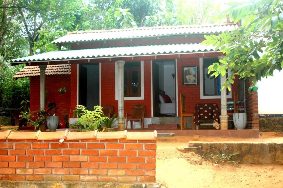 Angry Birds Homestay Habarana Bagian luar foto